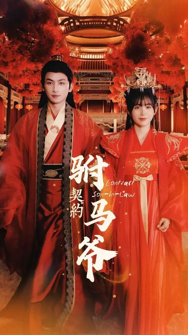 《契约驸马爷》：爆笑反转！看草根逆袭，智斗权贵，赢取真爱！