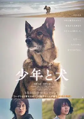 《少年与犬》：一段纯真友情与成长的感人故事，探讨青春中的责任与爱