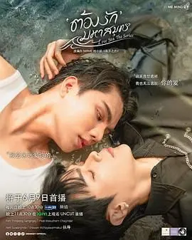 《海洋之恋》：一场人与自然的深情对话，探寻内心孤独与救赎的唯美诗篇