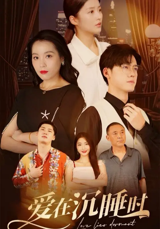 爱在沉睡时 海报