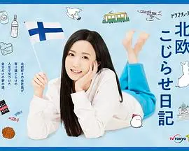 北欧别扭日记 海报